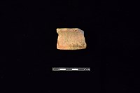 藏品(陶片)的圖片